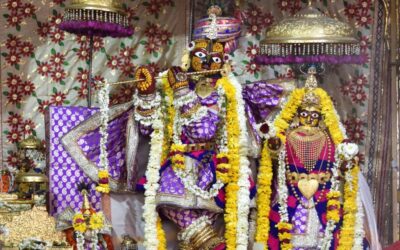 We are all beautiful extensions of the supreme lord