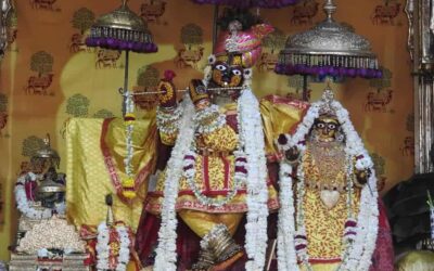 Sharnagati ~ Surrender to Krishna