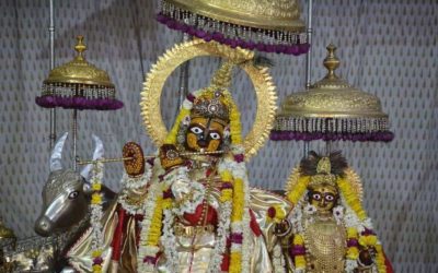 Living in Mercy of Sri Krsna -Surrender to Supreme Lord