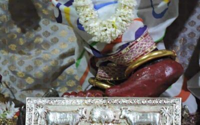 Gratitude creates Magic & Miracles