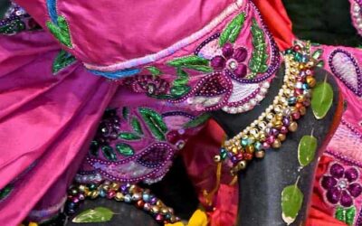 Change what you can & accept the things you can’t