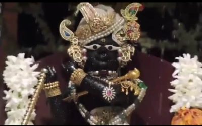 Jal Yatra Mahotsav of Sri Sri Radha Raman ji