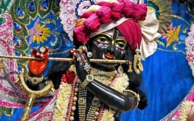 A jiva who does not perform sadhana does not attain his goal, or sadhya.