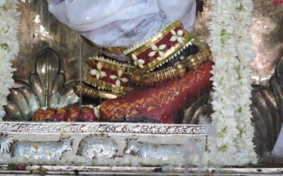 Special Jalvihar Jhanki