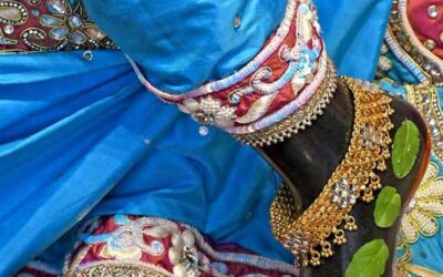 The Lord is setting an example of Gauseva to us.