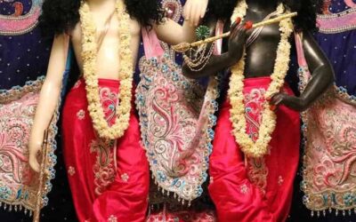 Feel Grateful, search for causes to be Grateful