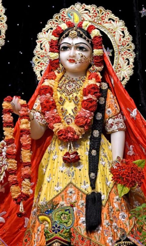 Mercy of Shrimati Radharani | || श्री कृष्ण: शरणं मम: