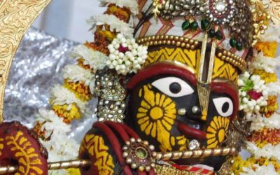 The frog in the well ~ krishna consciousness